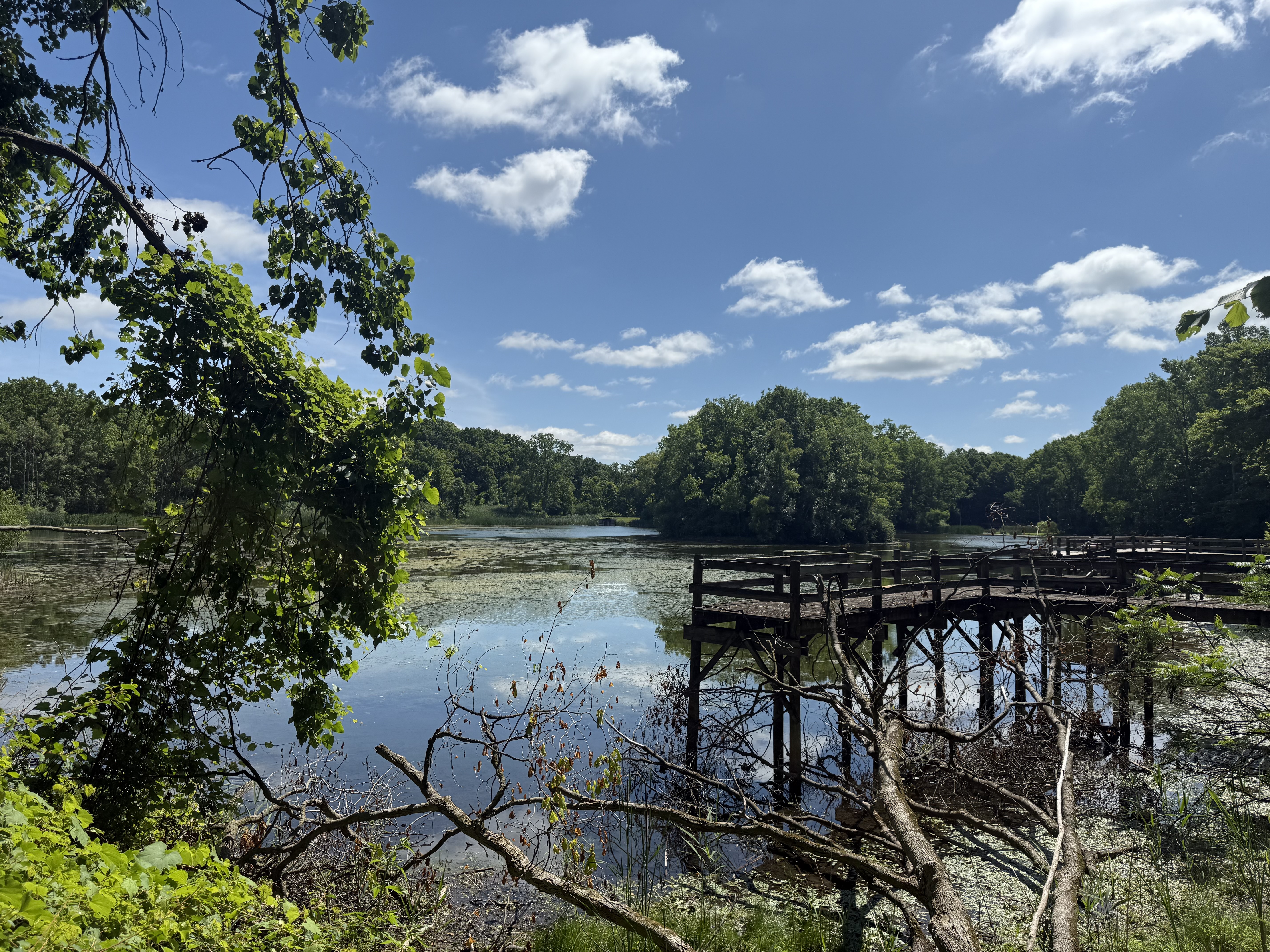 Maybury State Park — 25-06-28 11-22-09 8688