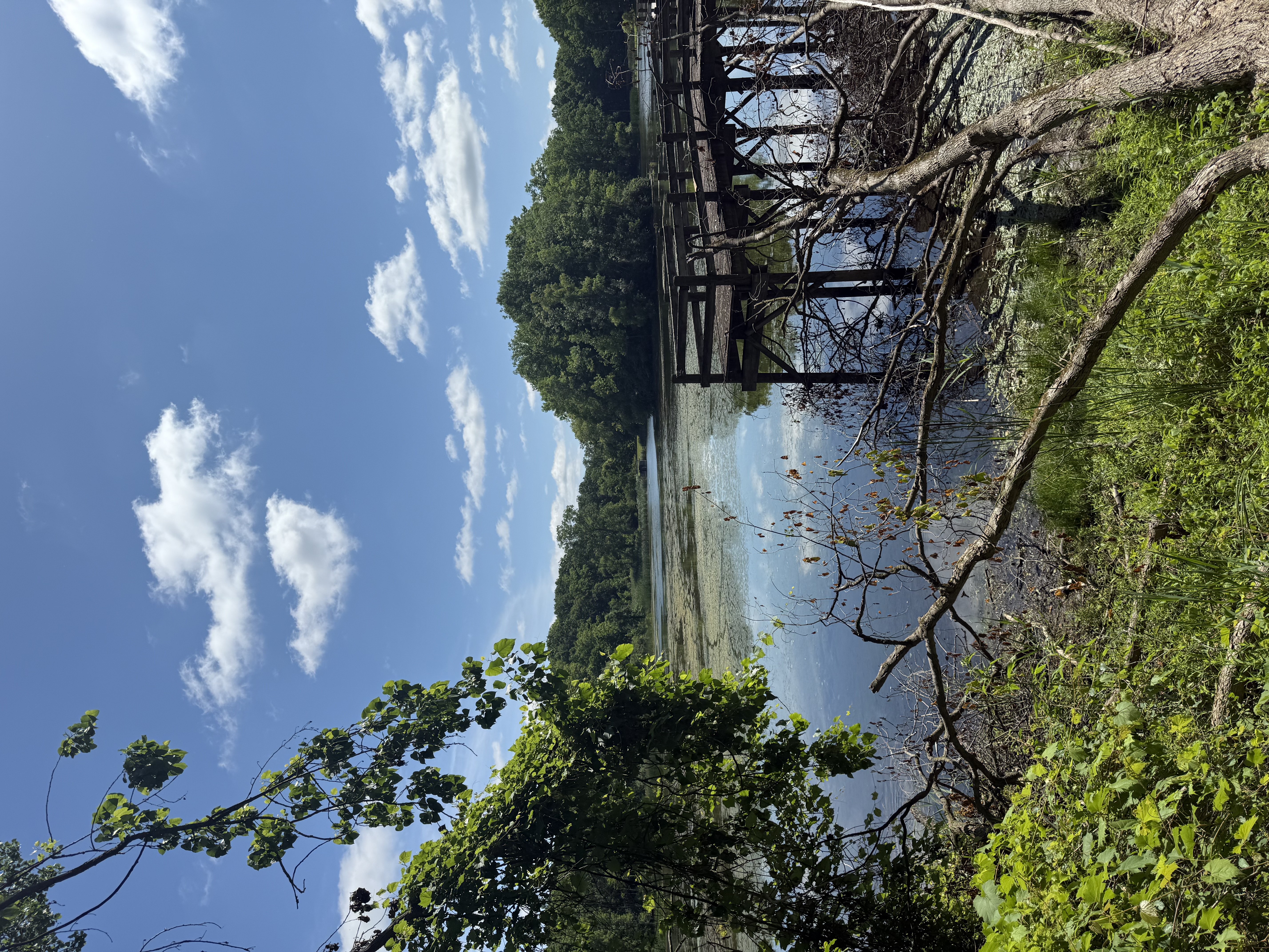 Maybury State Park — 25-06-28 11-22-11 8689