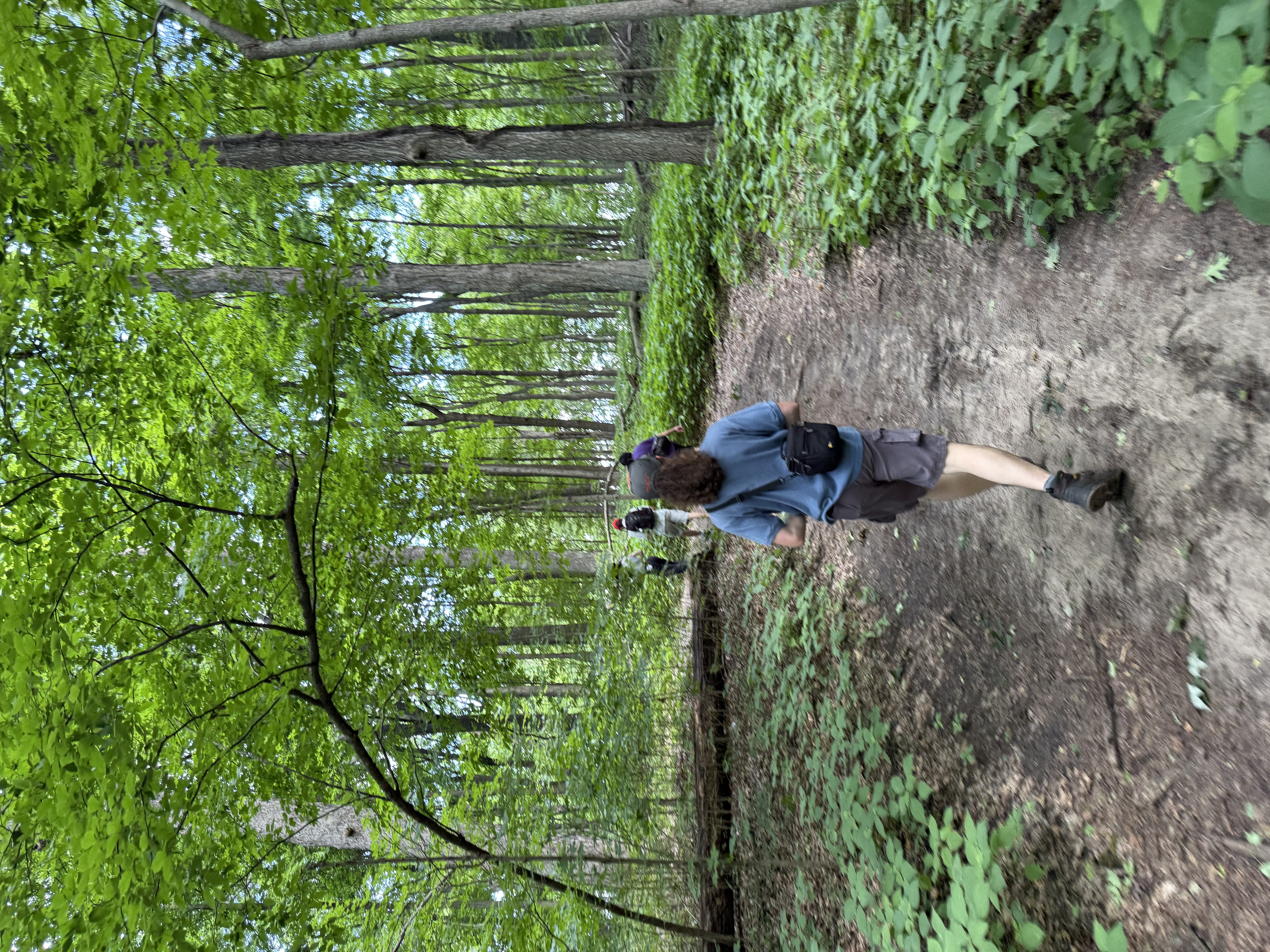 Maybury State Park — 25-06-28 11-50-42 8698