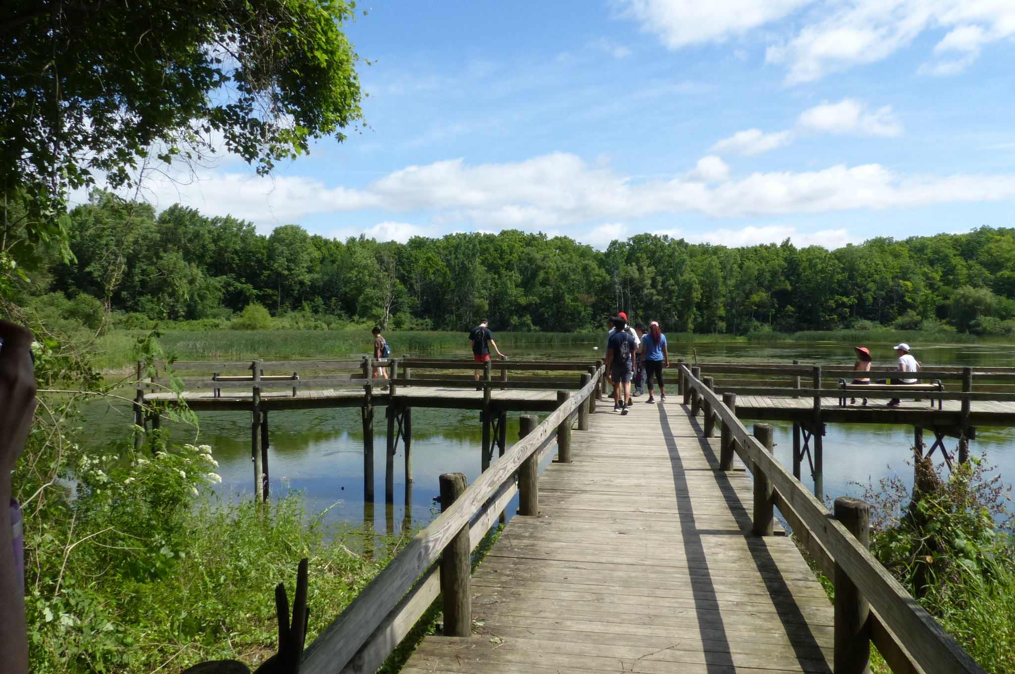 Maybury State Park — P1510705