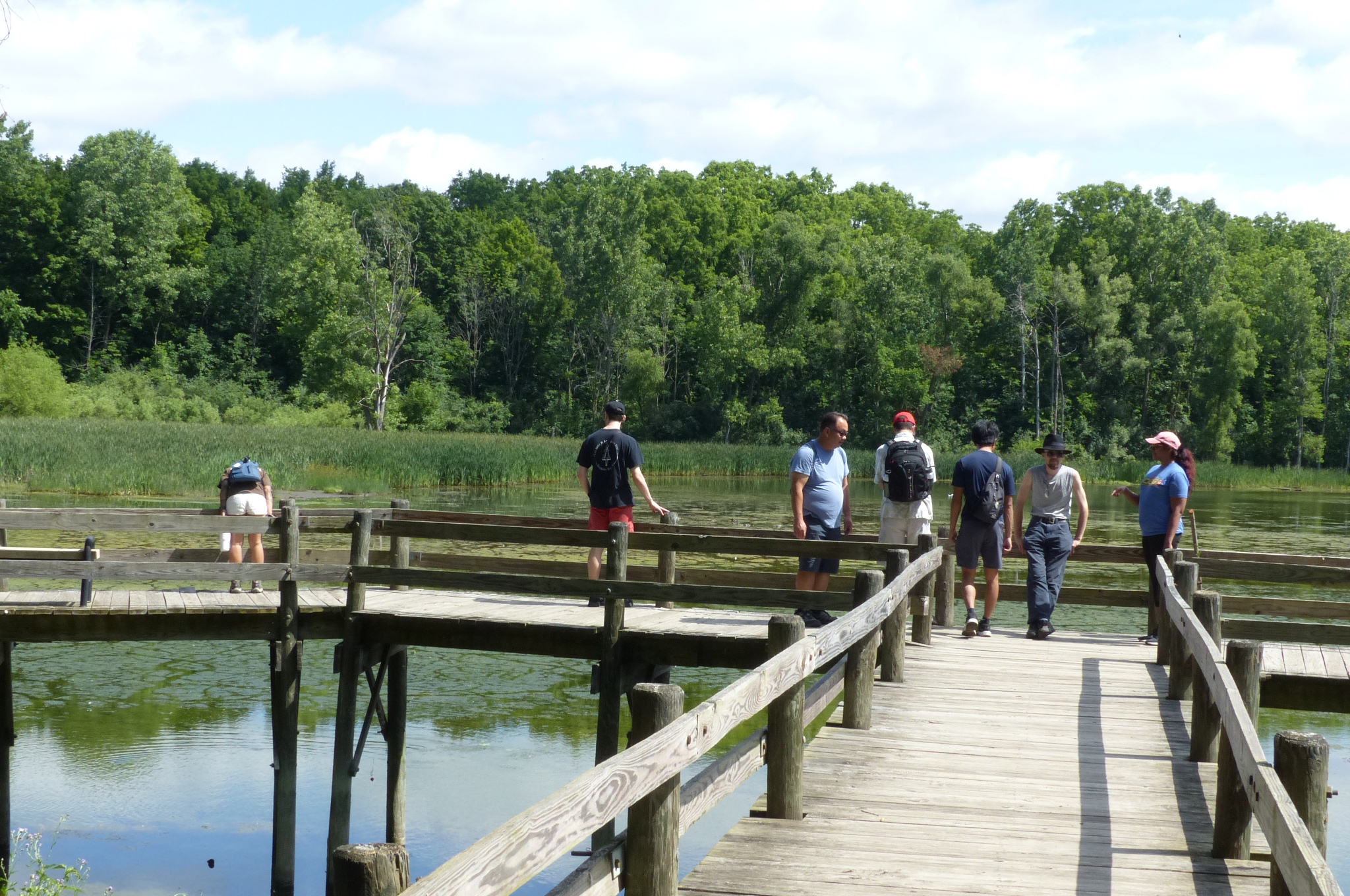 Maybury State Park — P1510706