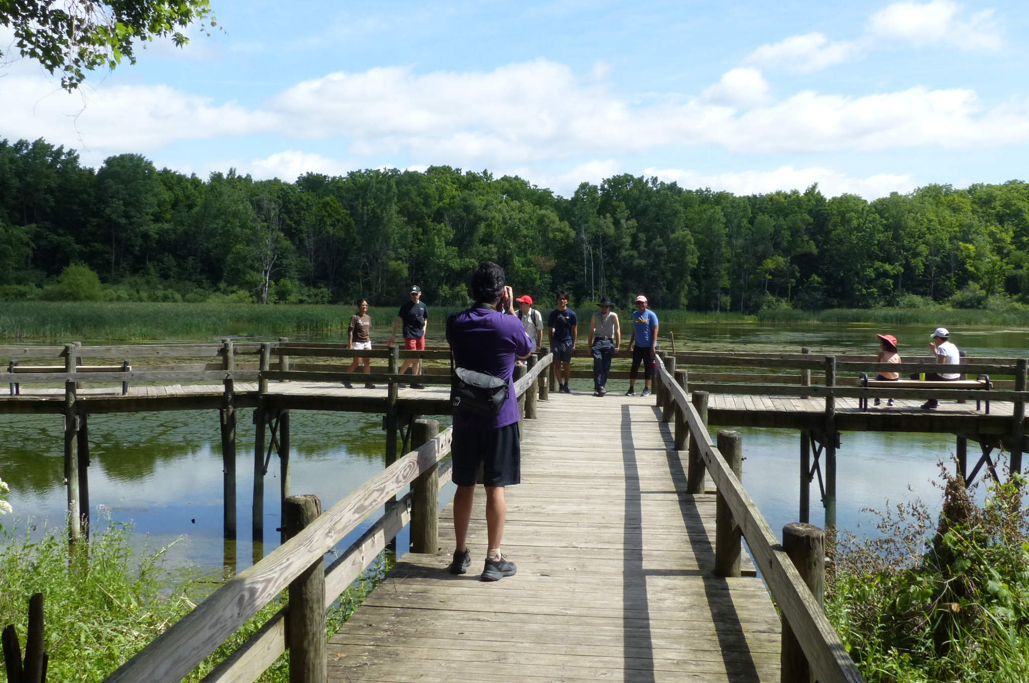 Maybury State Park — P1510710