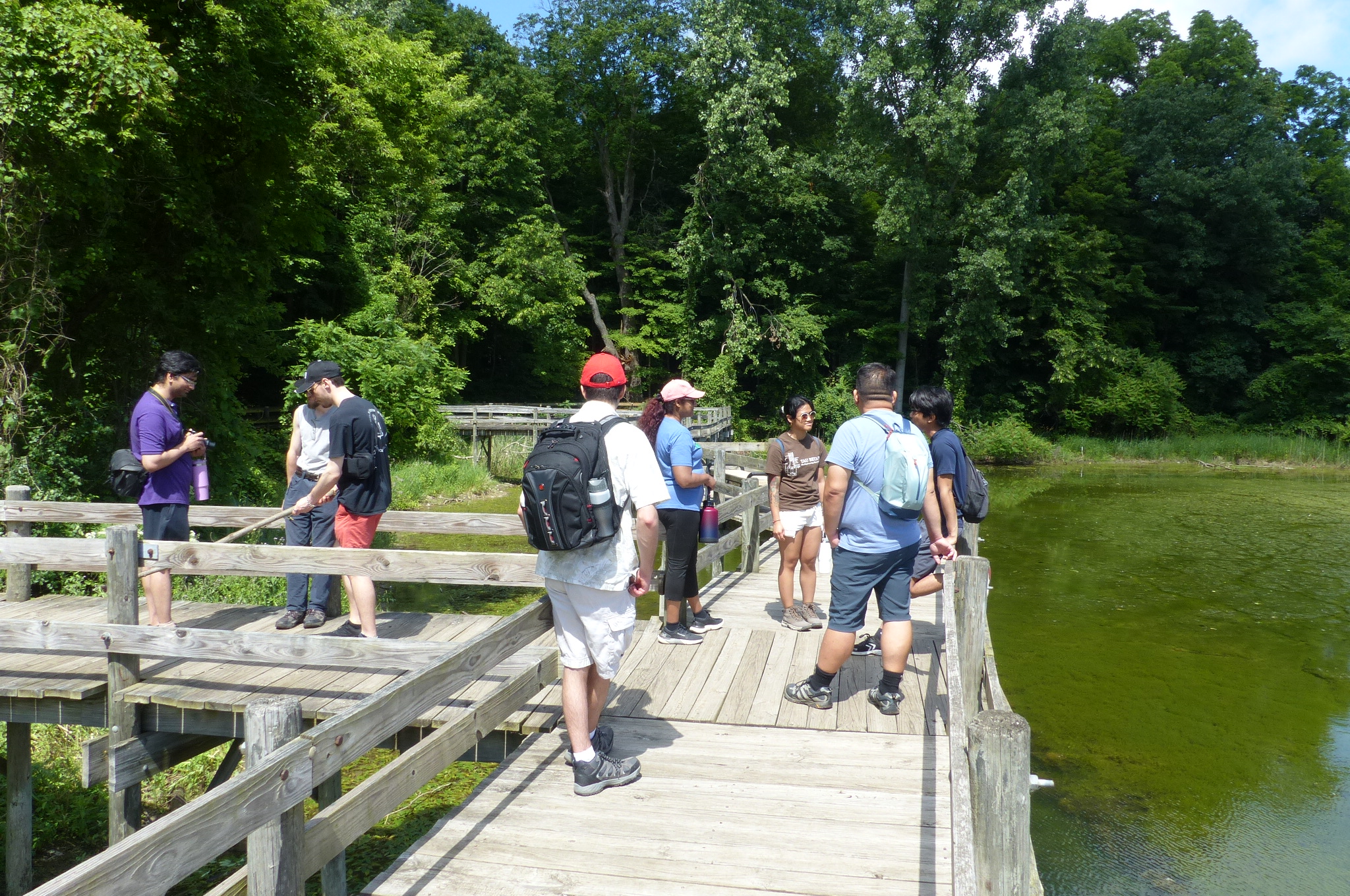Maybury State Park — P1510727