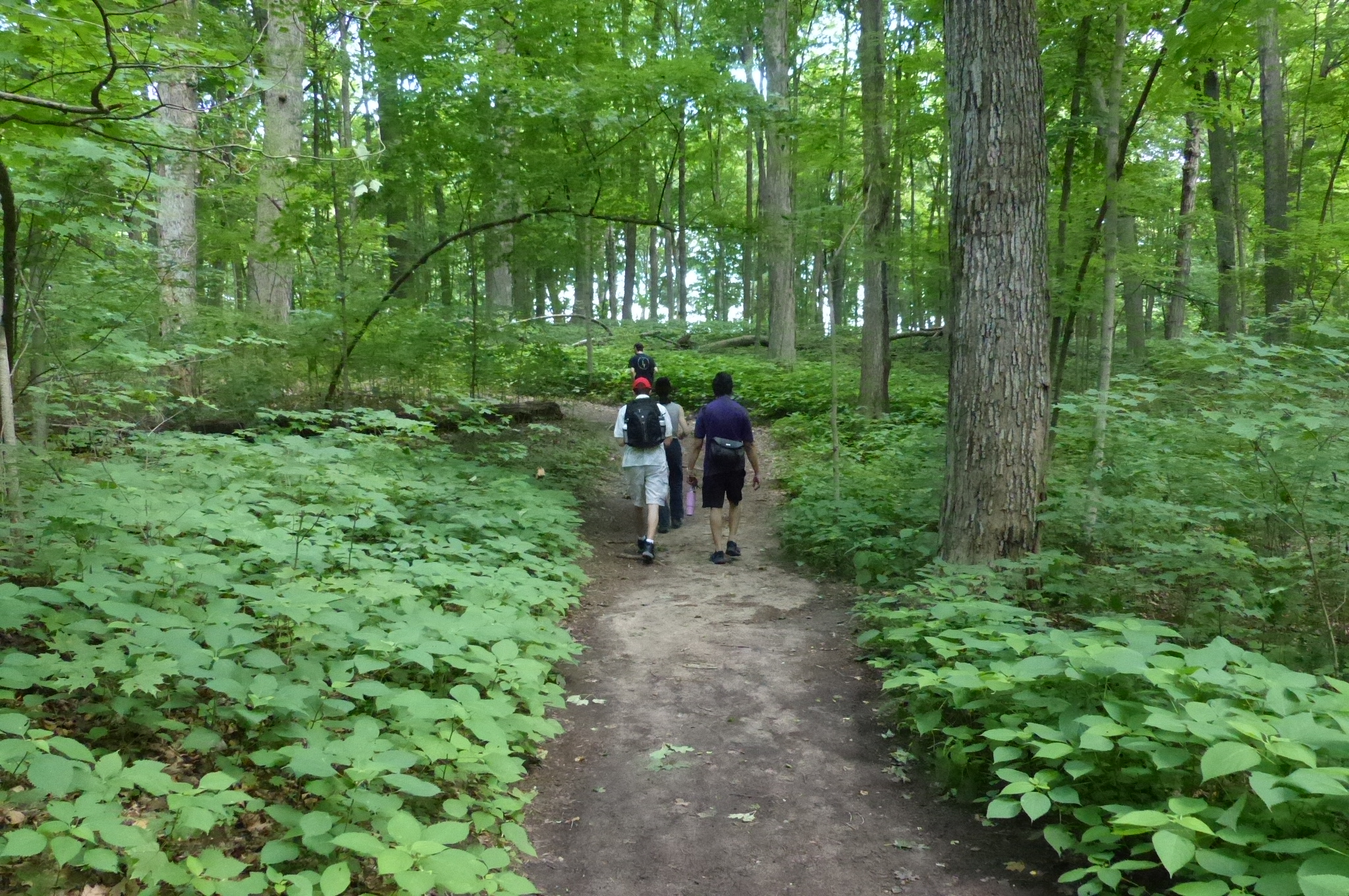 Maybury State Park — P1510751