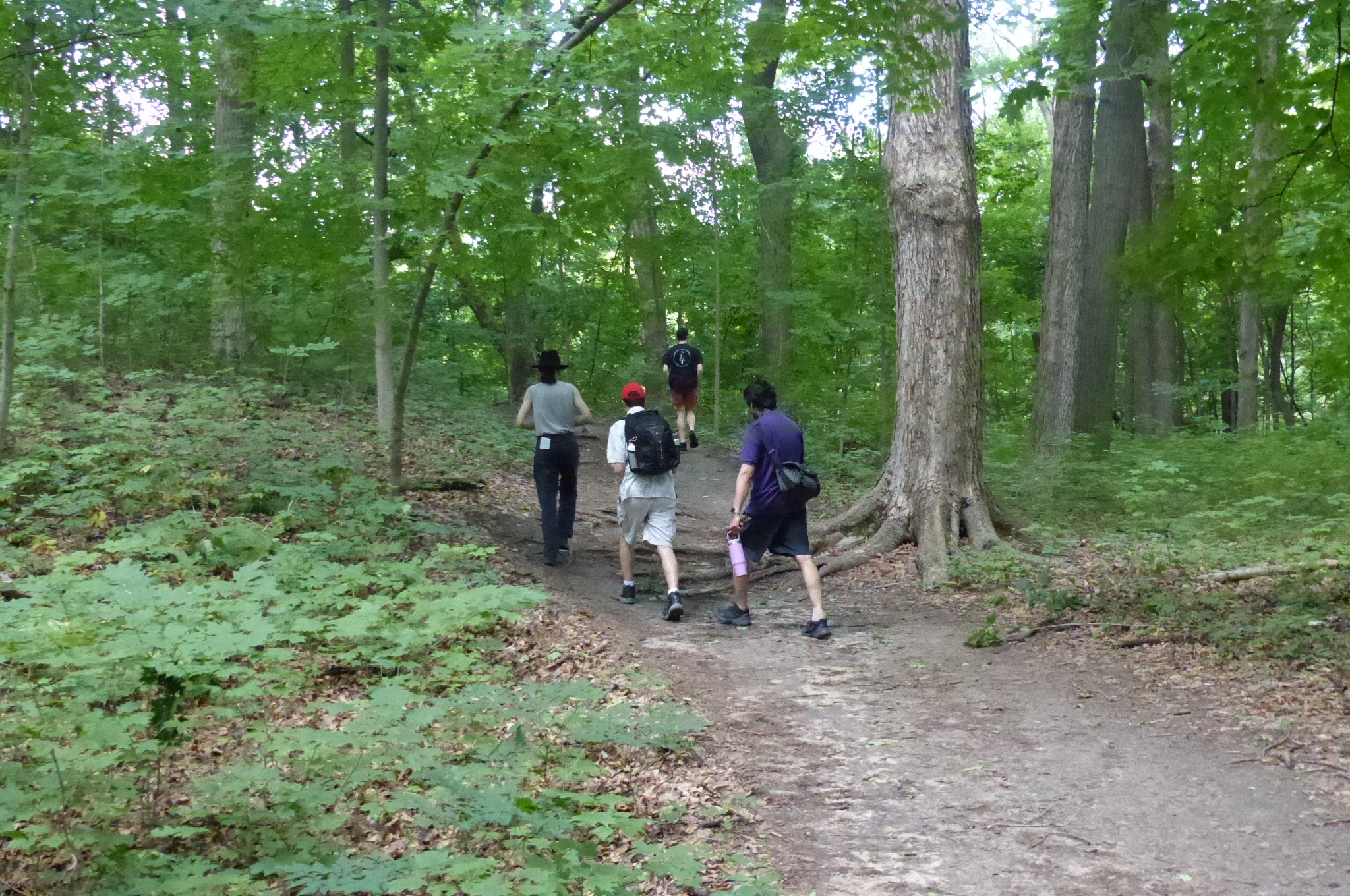 Maybury State Park — P1510752