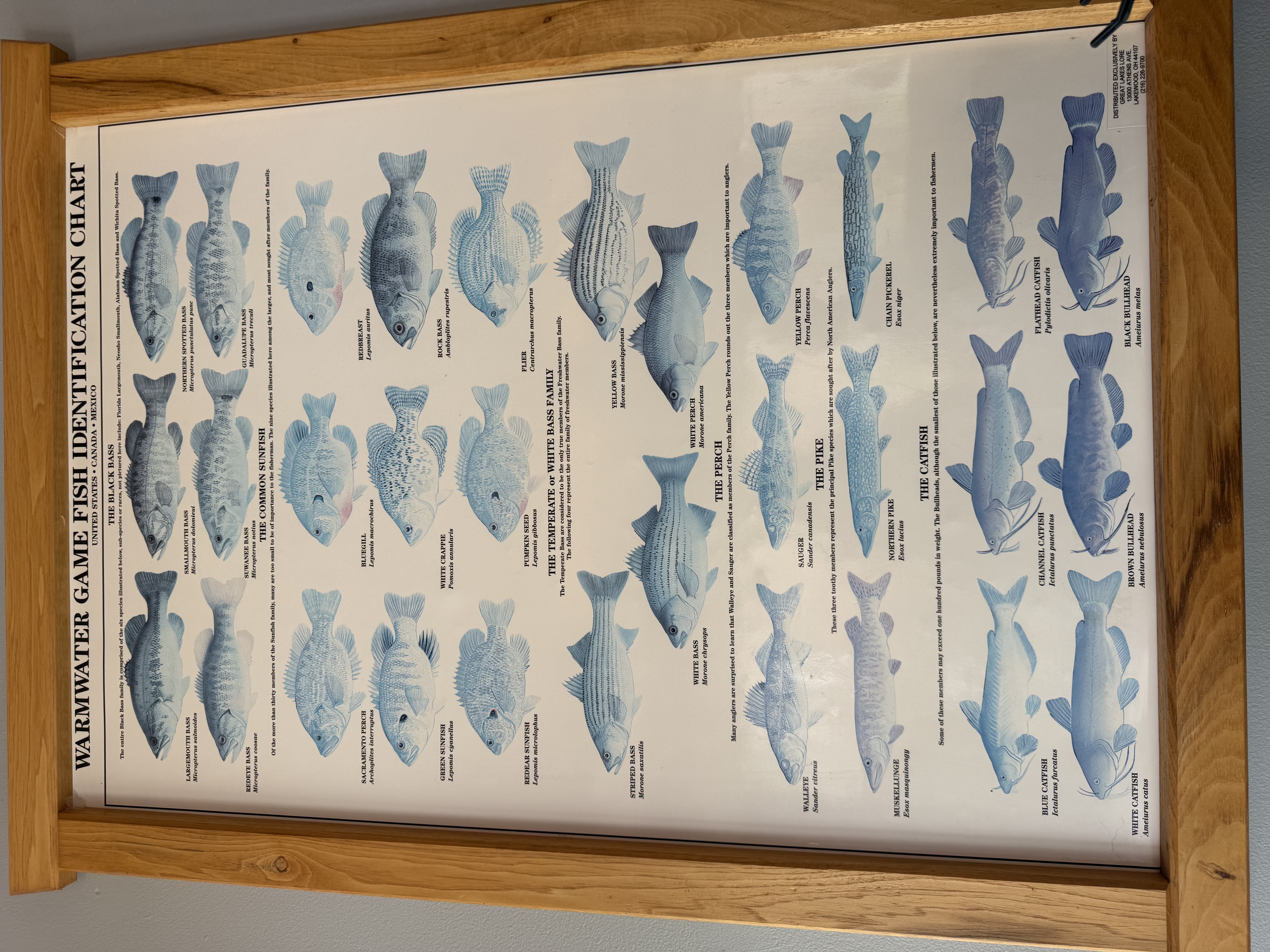 Gallup Park Kayaking — 25-07-19 13-28-07 8994