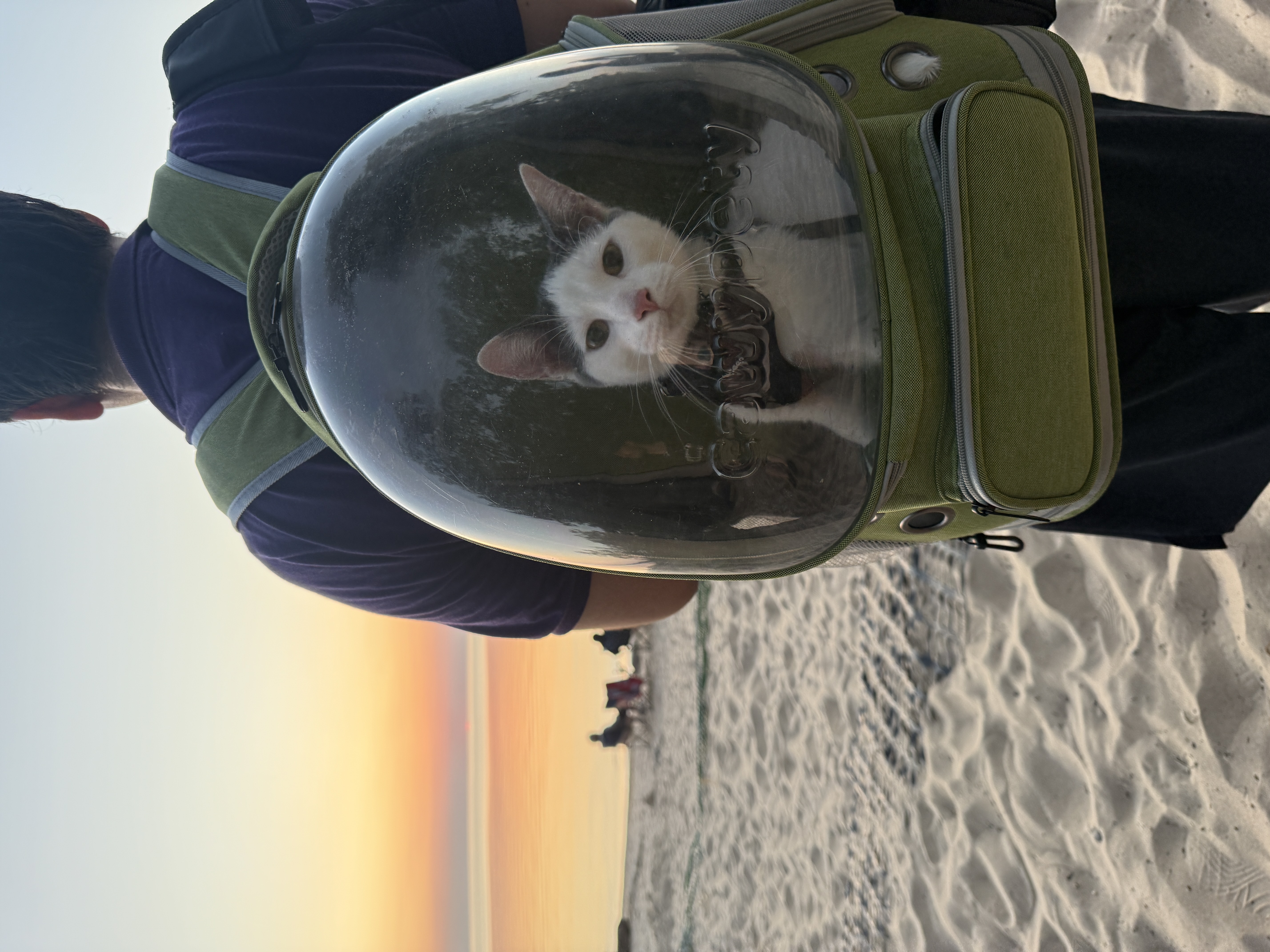 StargazeCamping — 25-09-13 19-46-15 9450