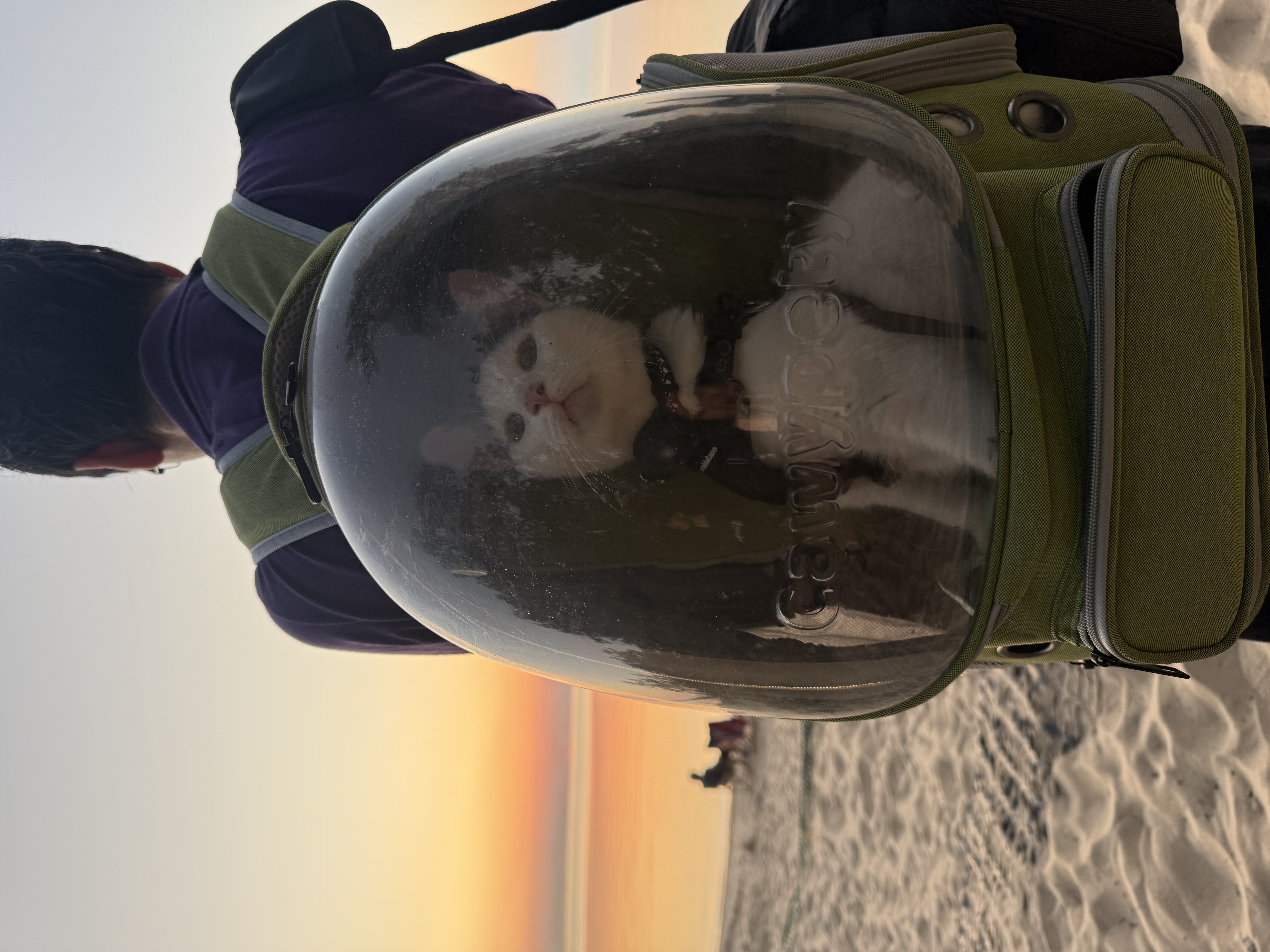 StargazeCamping — 25-09-13 19-46-20 9453