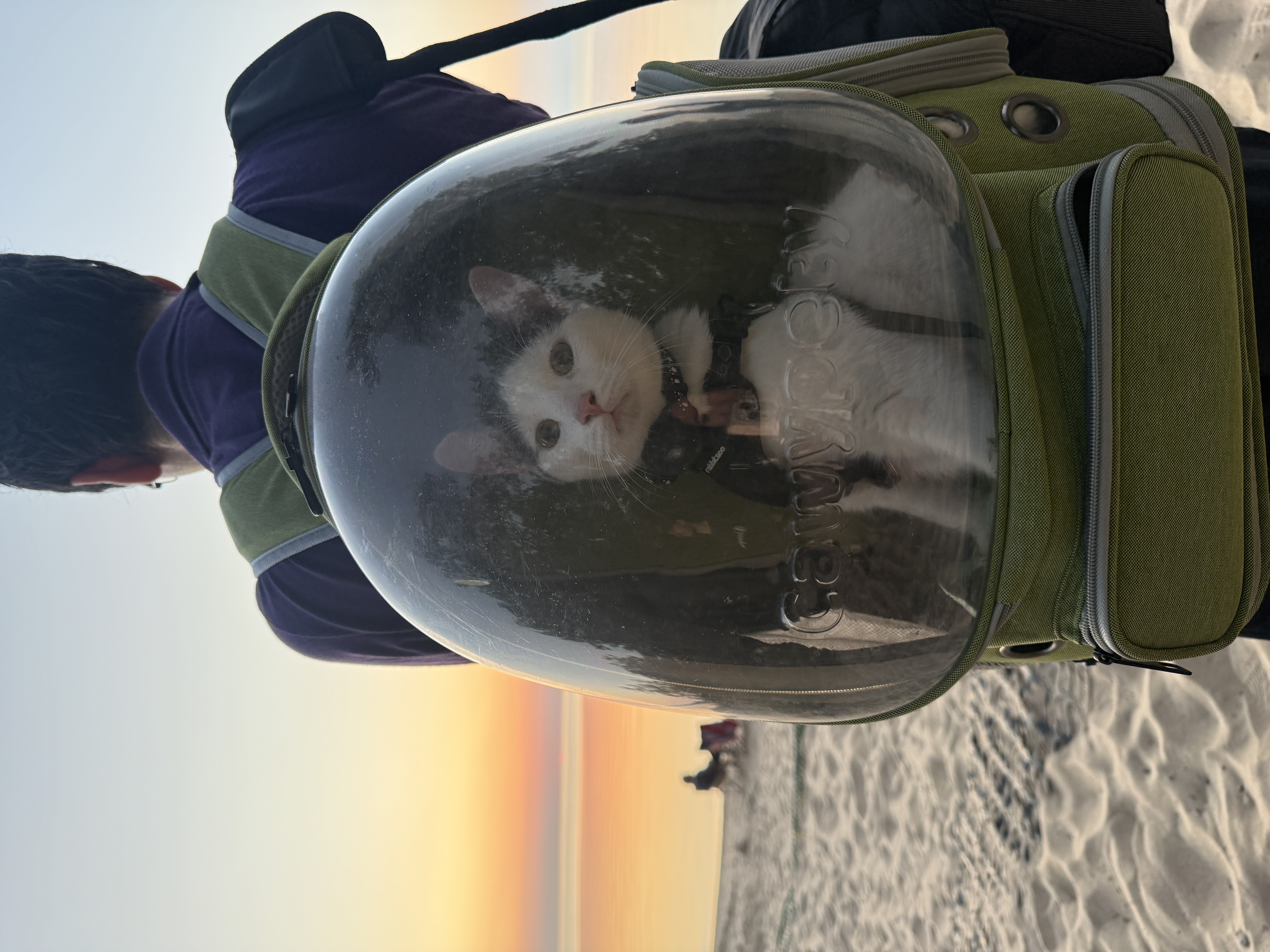 StargazeCamping — 25-09-13 19-46-21 9454