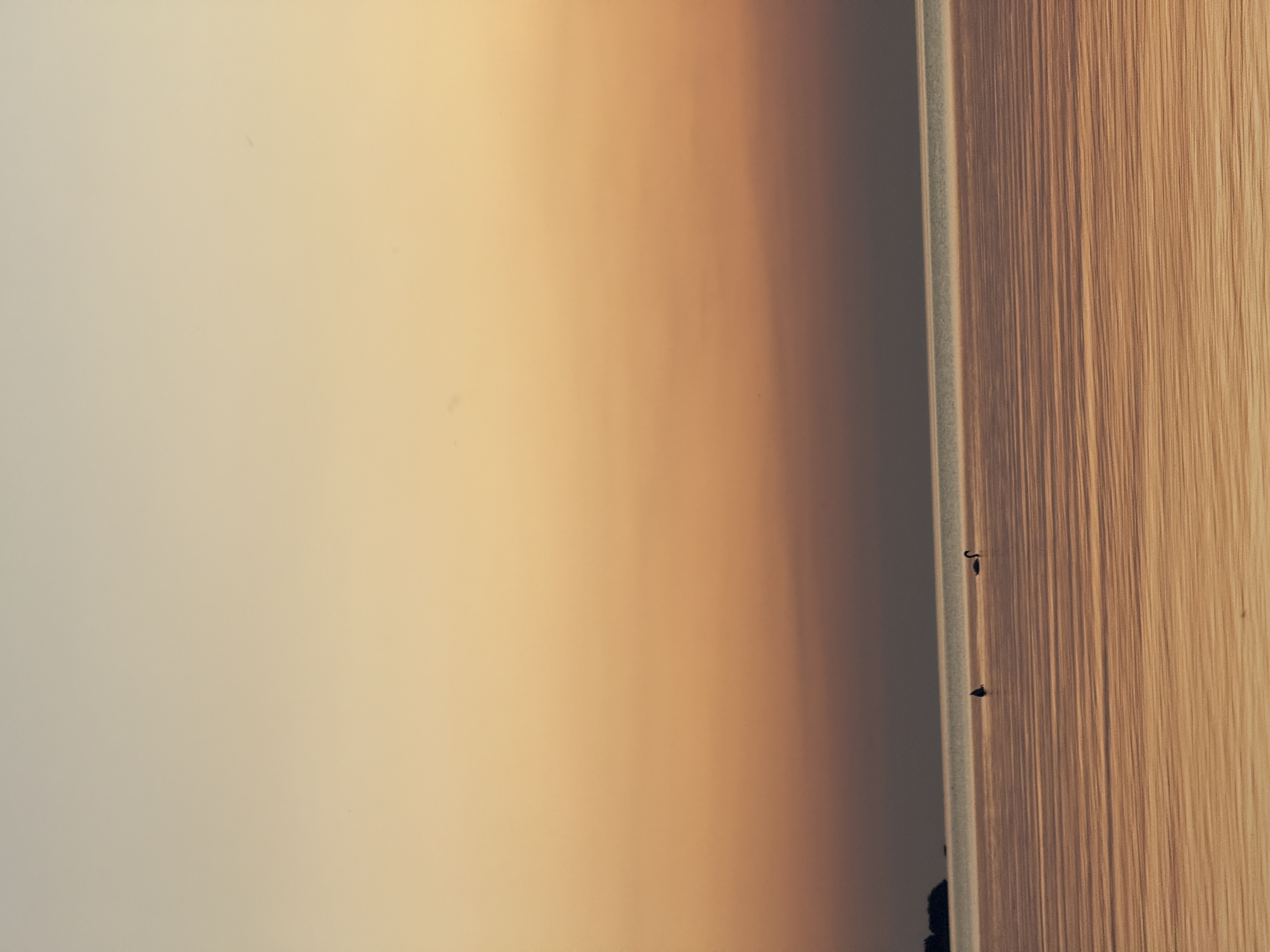 StargazeCamping — 25-09-13 19-54-31 9467