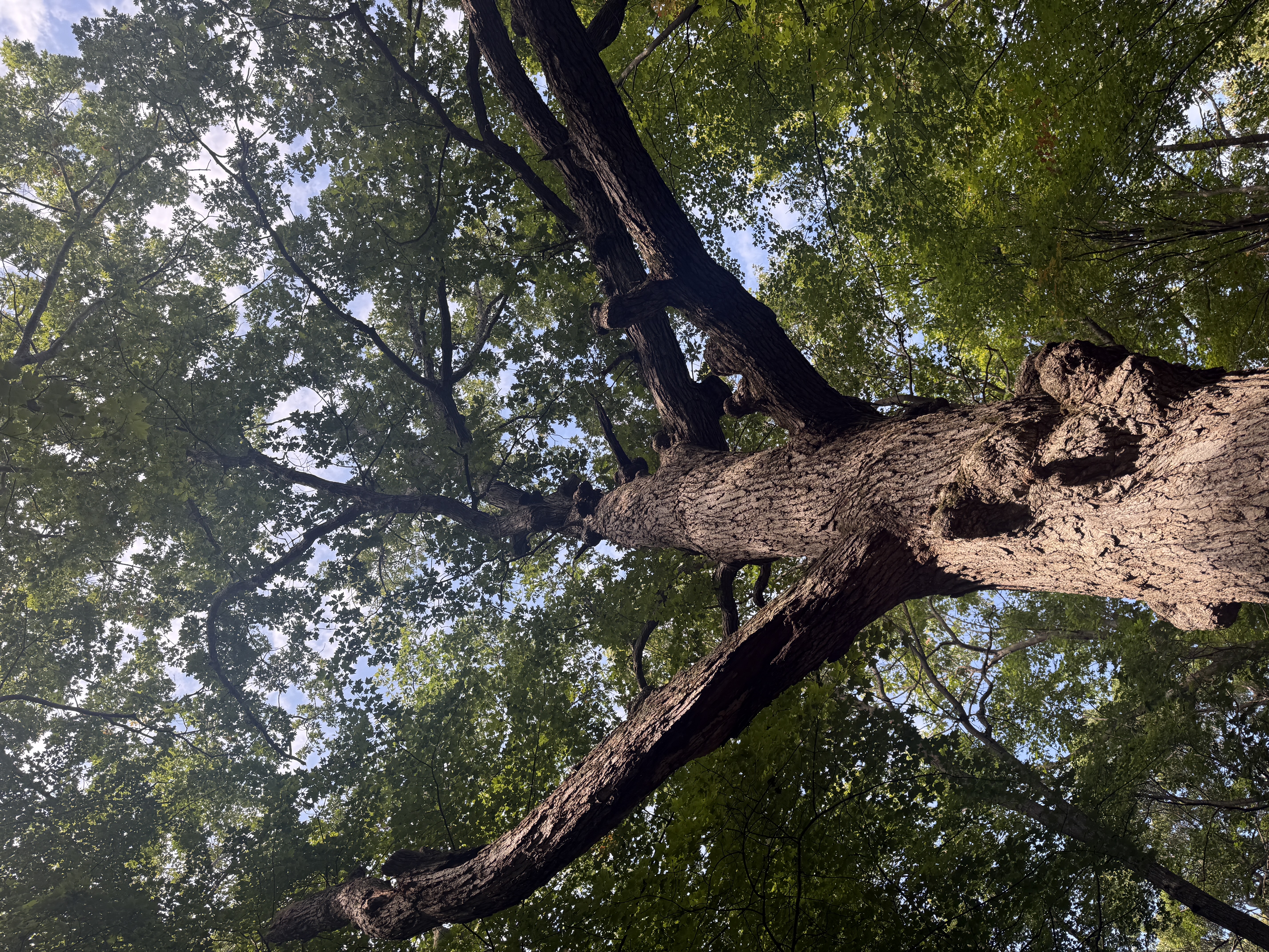 StargazeCamping — 25-09-14 12-23-52 9494