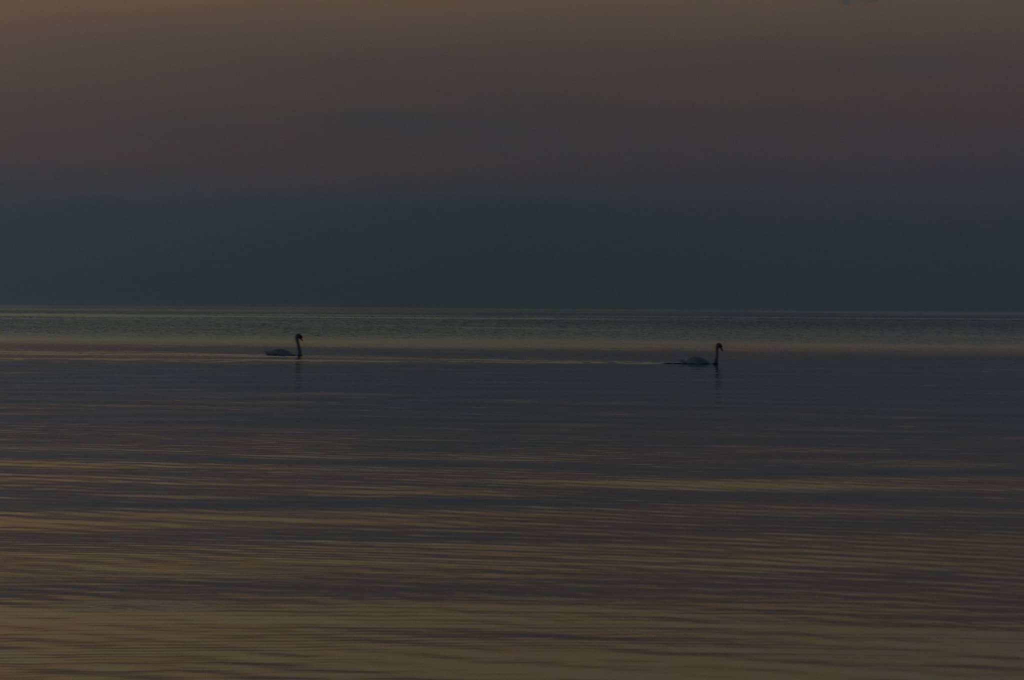 StargazeCamping — P1540053