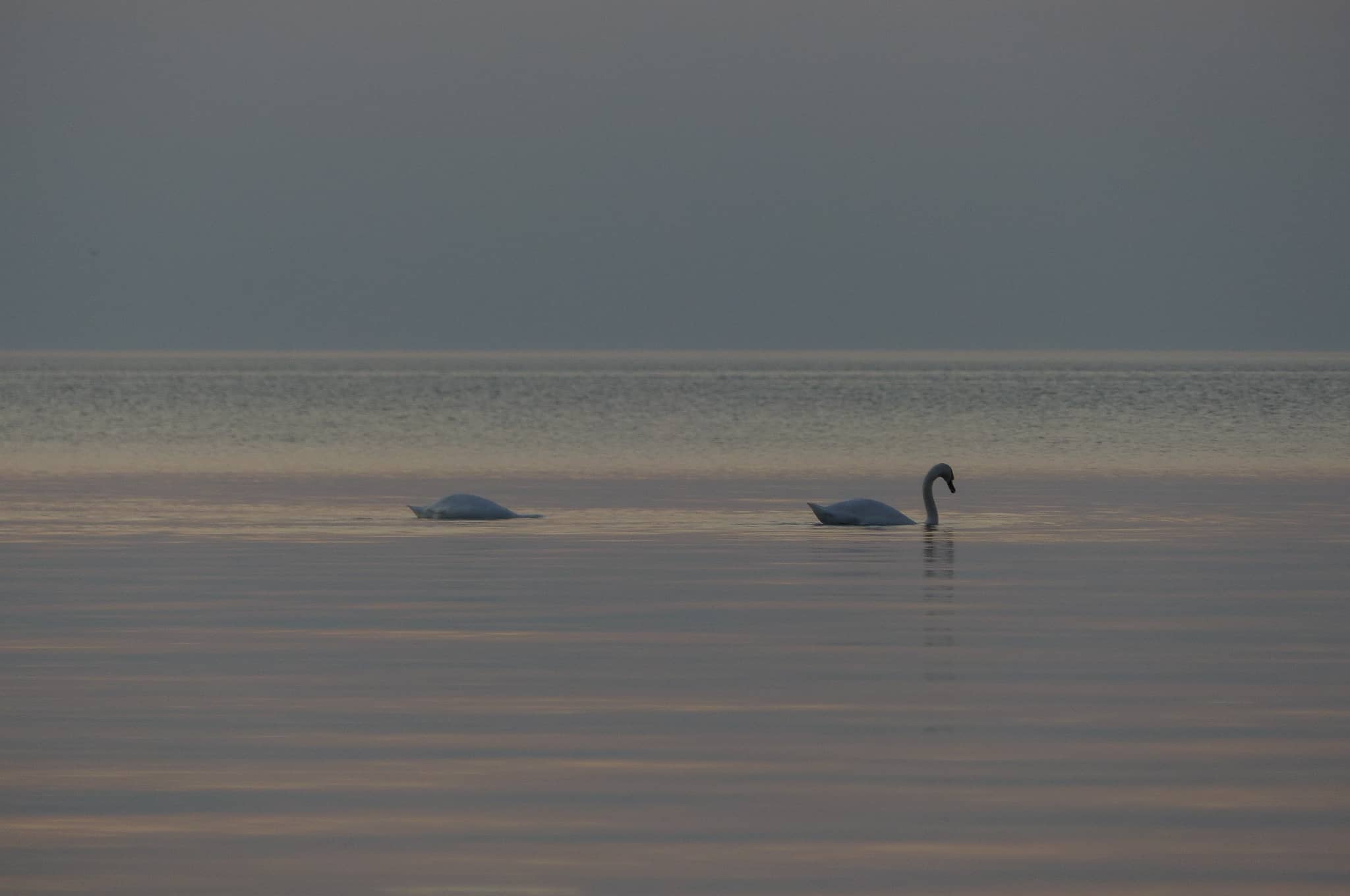 StargazeCamping — P1540061