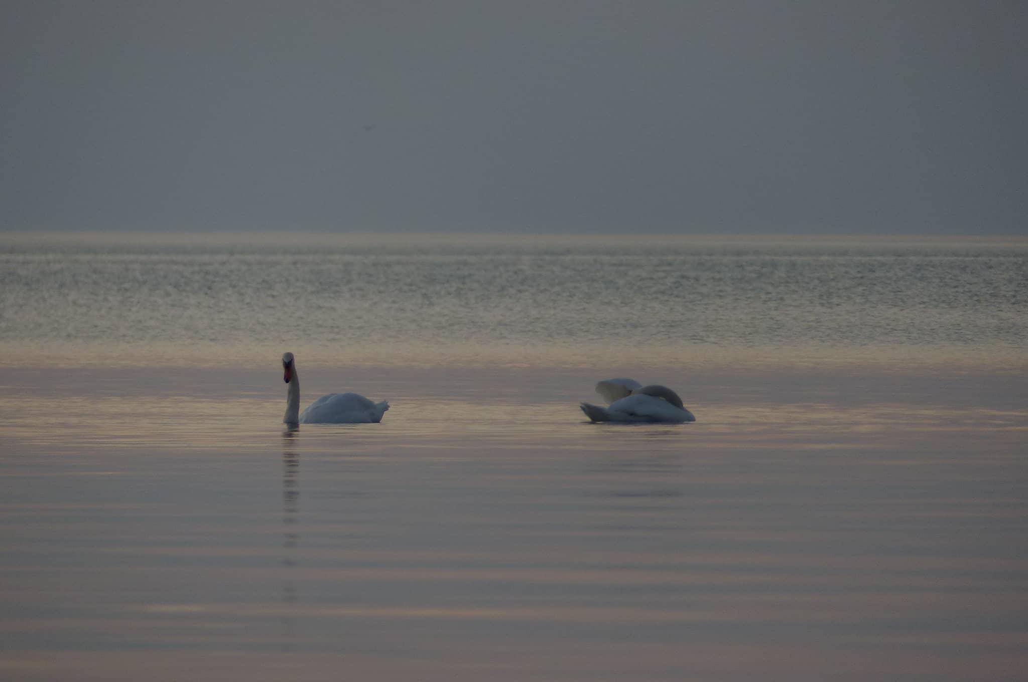 StargazeCamping — P1540072