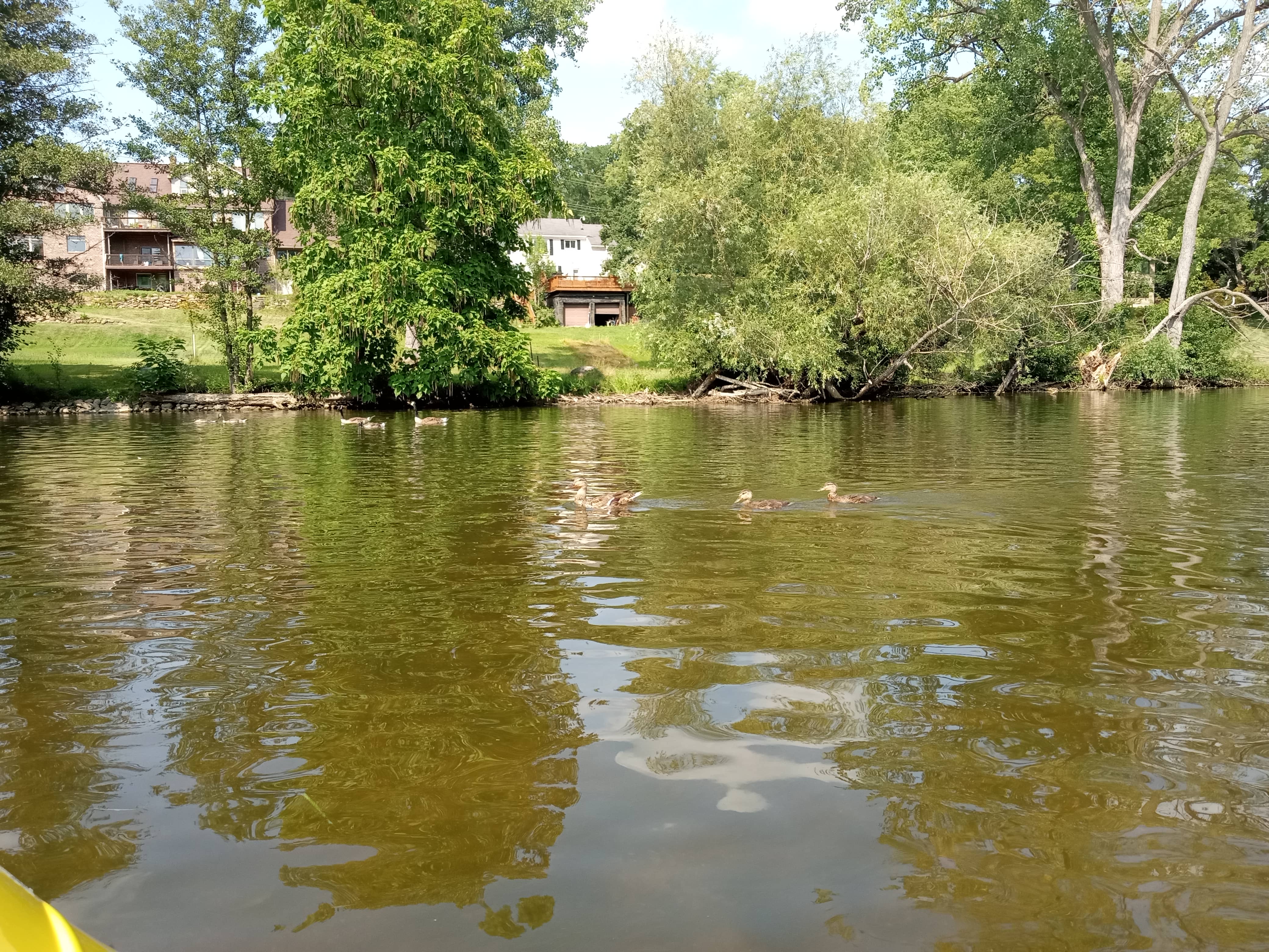Huron River Kayaking — IMG_20260725_162943450